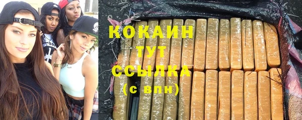 дживик Нея
