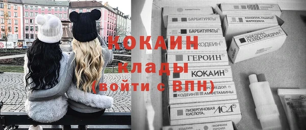 дживик Нея